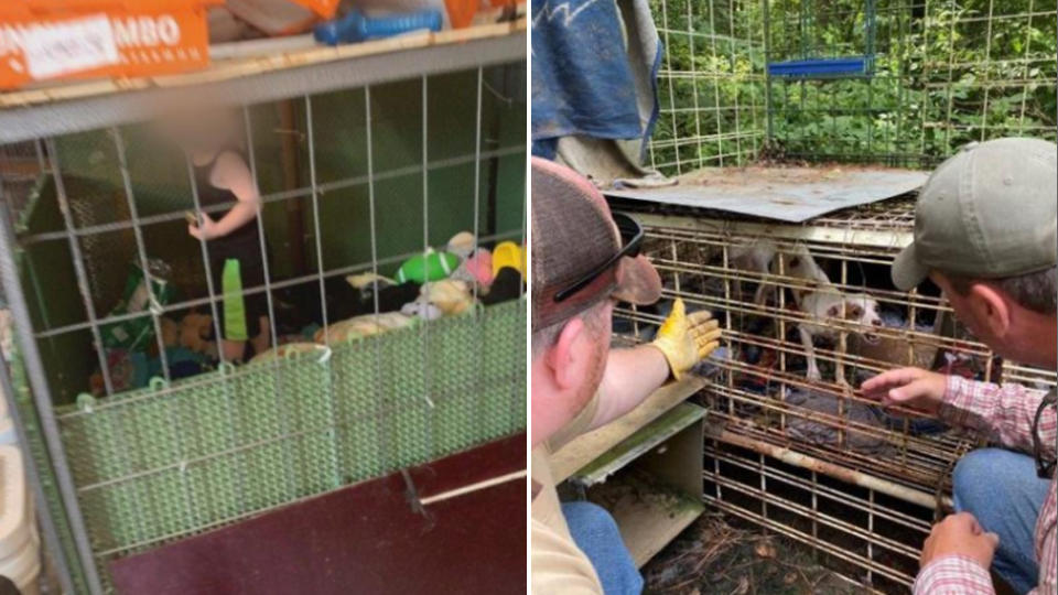Pictured left is a one-year-old boy in a filthy cage surrounded by toys. On the right are two men looking at a caged animal in Henry County, Tennessee.