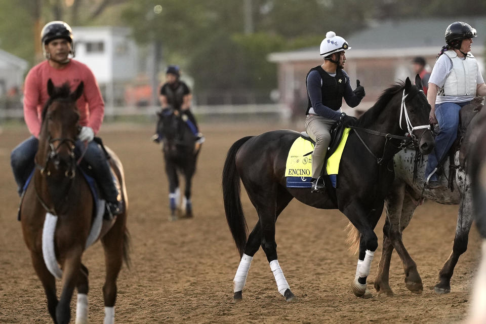 Kentucky Derby hopeful Encino is led off the track after a workout at Churchill Downs Monday, April 29, 2024, in Louisville, Ky. The 150th running of the Kentucky Derby is scheduled for Saturday, May 4. (AP Photo/Charlie Riedel)
