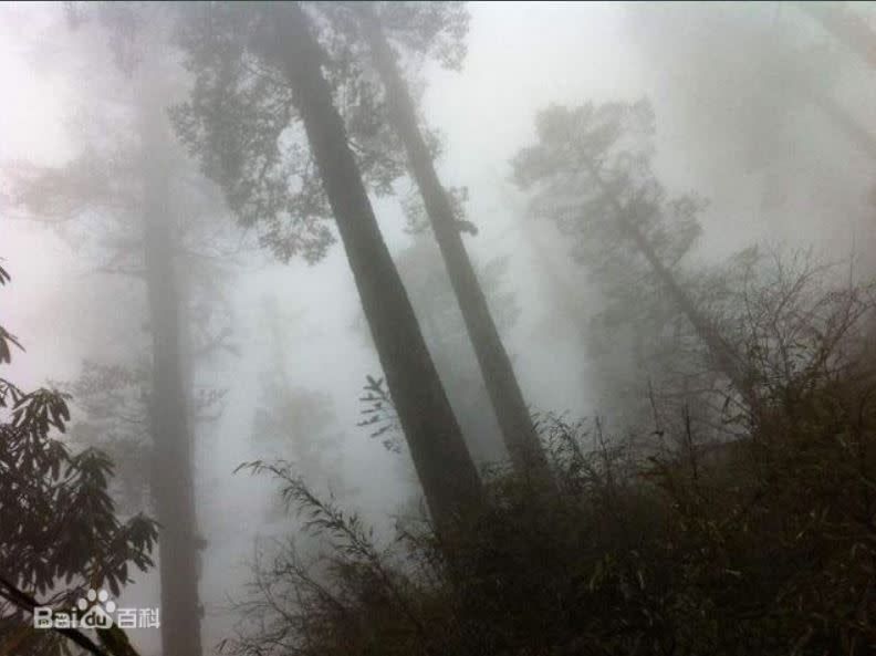 瓦屋山迷魂氹常會出現有毒迷霧，專家解釋是瘴氣。（圖／翻攝自百度百科）