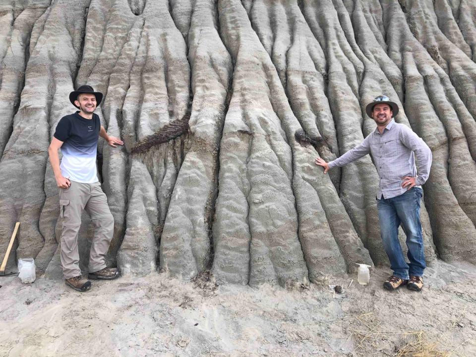 Brian Pickles And Caleb Brown Stand Next To The Exposed Skeleton. (Melissa Dergousoff/University Of Reading)