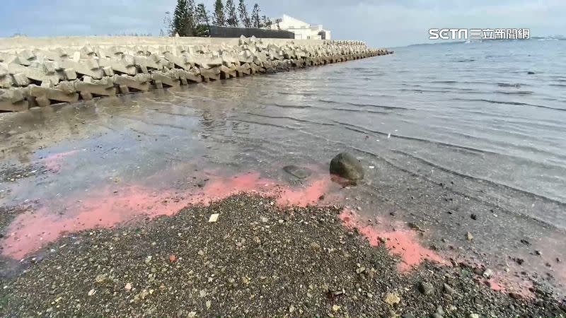 紅色漂流物被海浪拍打上岸。