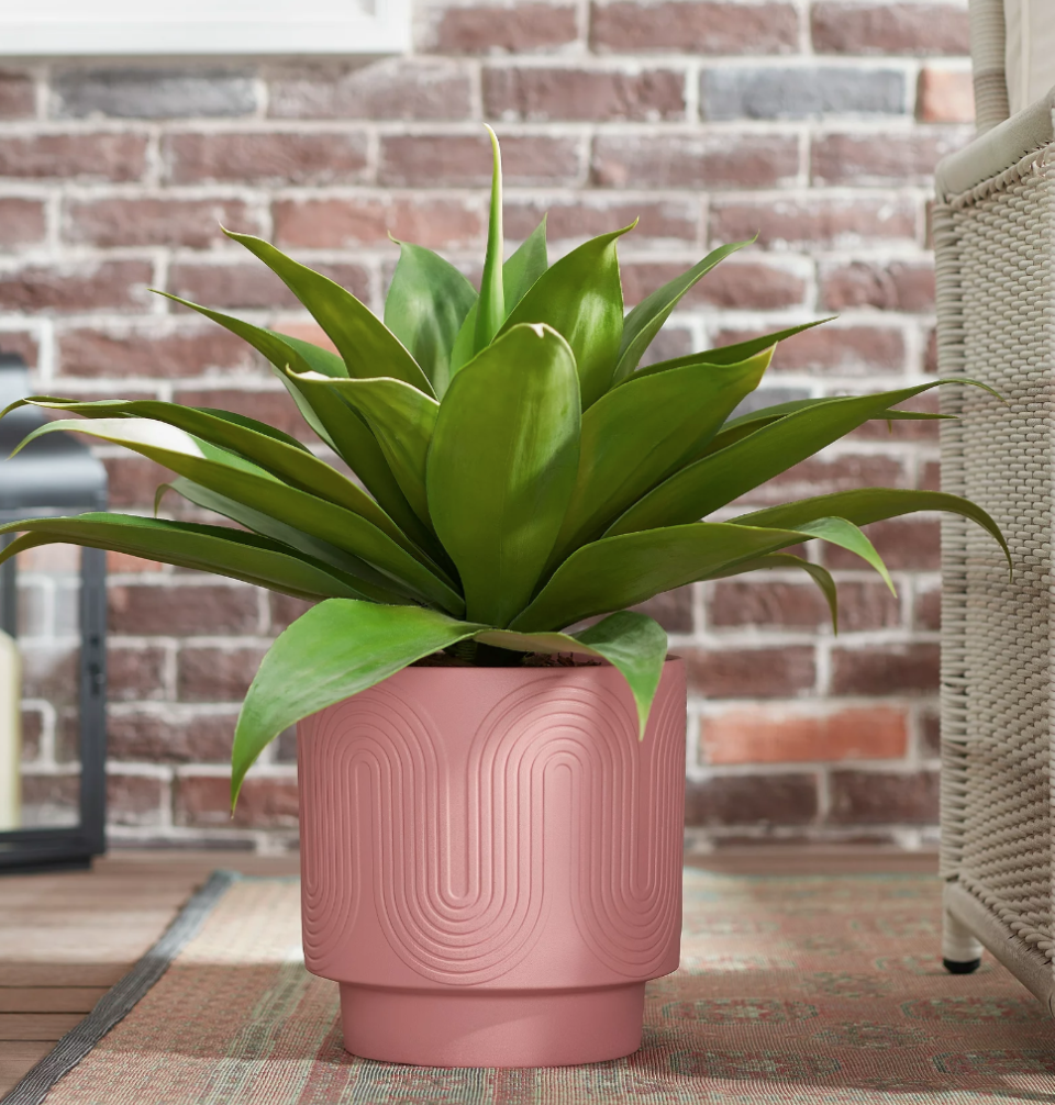 <p><a href="https://go.redirectingat.com?id=74968X1596630&url=https%3A%2F%2Fwww.walmart.com%2Fip%2FBetter-Homes-and-Gardens-Amy-Pink-Wave-Planter%2F1695826043&sref=https%3A%2F%2Fwww.goodhousekeeping.com%2Fholidays%2Fgift-ideas%2Fg43917093%2Fbest-gifts-from-walmart%2F" rel="nofollow noopener" target="_blank" data-ylk="slk:Shop Now;elm:context_link;itc:0;sec:content-canvas" class="link ">Shop Now</a></p><p>Amy Pink Wave Planter</p><p>$15.97</p>