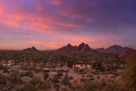 Become a desert explorer near Scottsdale (Getty/iStock)