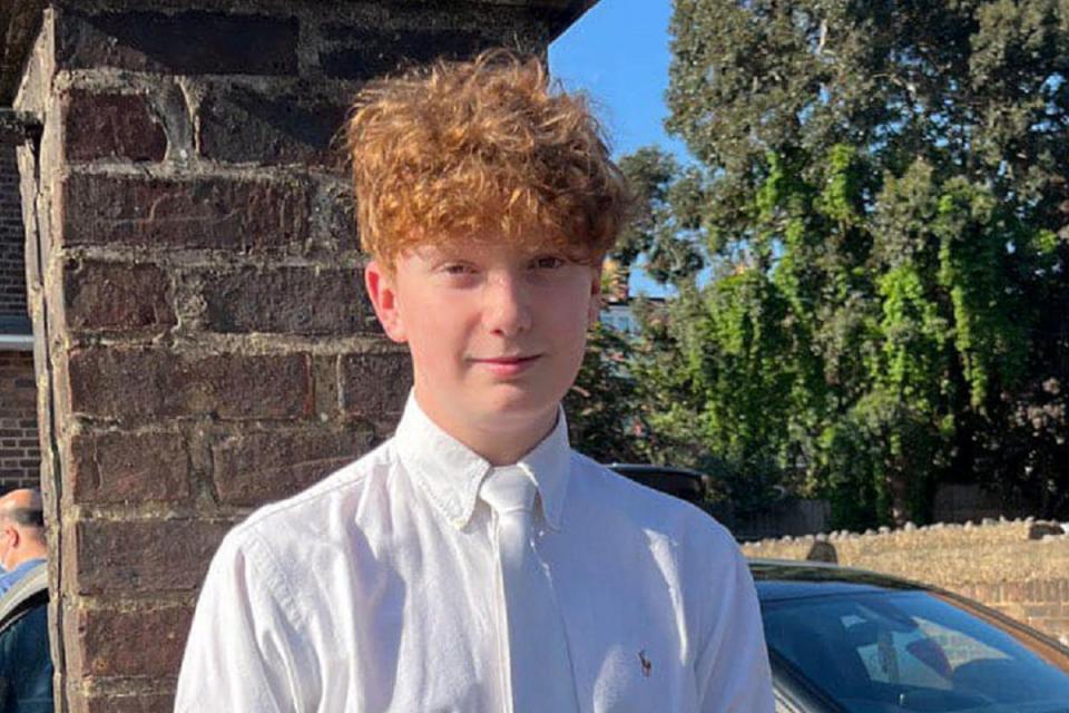 Harry Pitman, 16, died after what police described as “an altercation” as crowds gathered in Primrose Hill, Camden, north London, to watch the display (PA Media)