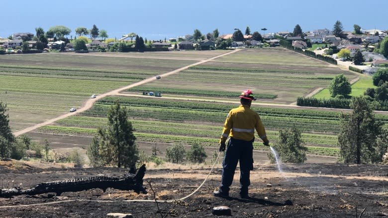 Evacuees return home after crews contain wildfire in West Kelowna, B.C.