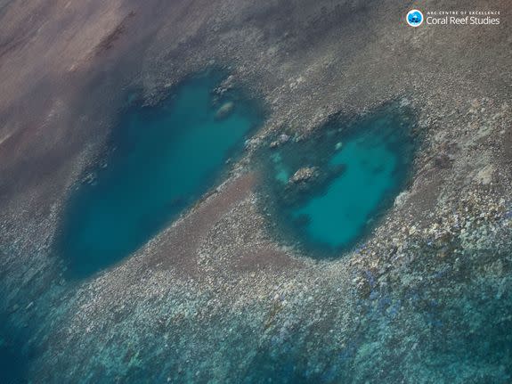 Aerial view of wide spread coral bleaching, northern Great Barrier Reef, March 2016.