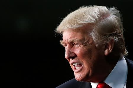 Republican presidential nominee Donald Trump speaks at a campaign rally in Charlotte, North Carolina, U.S., August 18, 2016. REUTERS/Carlo Allegri