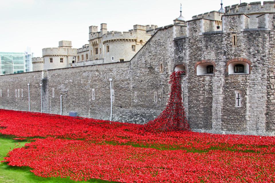 Flower, Petal, Red, Landmark, Carmine, Flowering plant, Groundcover, Coquelicot, Garden, Medieval architecture, 