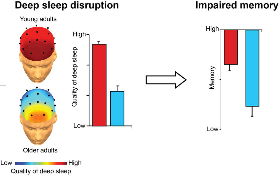 nature_sleep_disruption_graphic