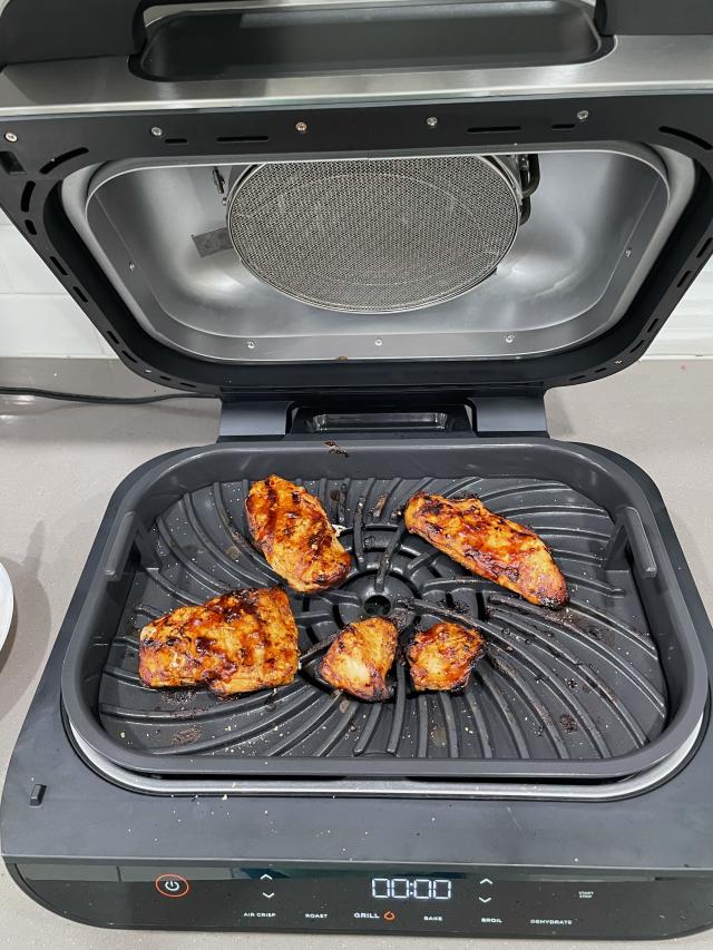 Ninja Foodi 5-in-1 Air Fryer and Indoor Grill Review