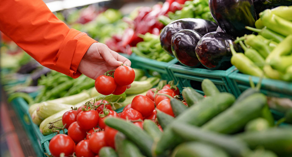 Hand picking up tomatoes in Aldi supermarket produce aisle