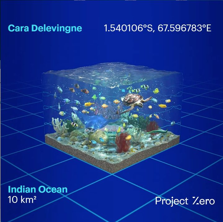 Cara Delevingne joins Project Zero's initiative to save oceans. This is her own unique ocean coordinate to “look after” - others can get their own by making a donation.