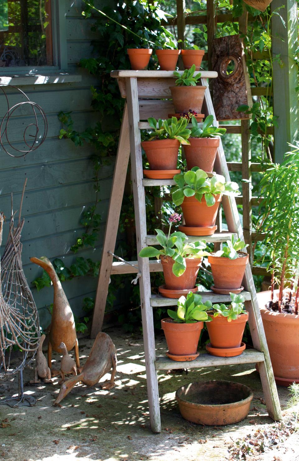 5. Plant up a ladder