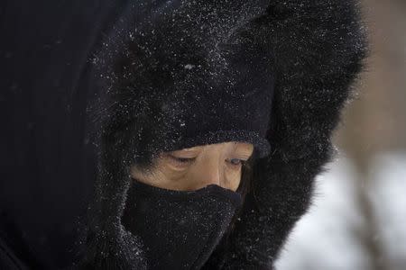 A woman walks though Central Park as it snows in the Manhattan borough of New York January 26, 2015. REUTERS/Carlo Allegri