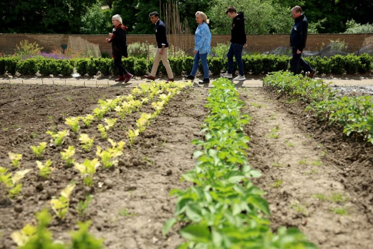 El primer ministro británico y líder del Partido Conservador, Rishi Sunak (2º izq.), visita un jardín comunitario en Bishop Auckland el 8 de junio de 2024 (Phil Noble)