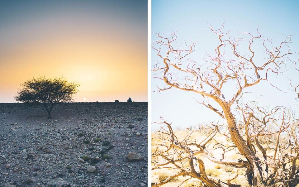 <p>The prosperous trade eliminated the wadi’s tree forest, which was abundant with jujube, juniper, and wild oak trees. Wood was a necessity to smelt copper, and in turn, made Dana one of the most polluted, albeit profitable, places on Earth. Today, the barren area is a paramount point for Christian pilgrimage journeys.</p>