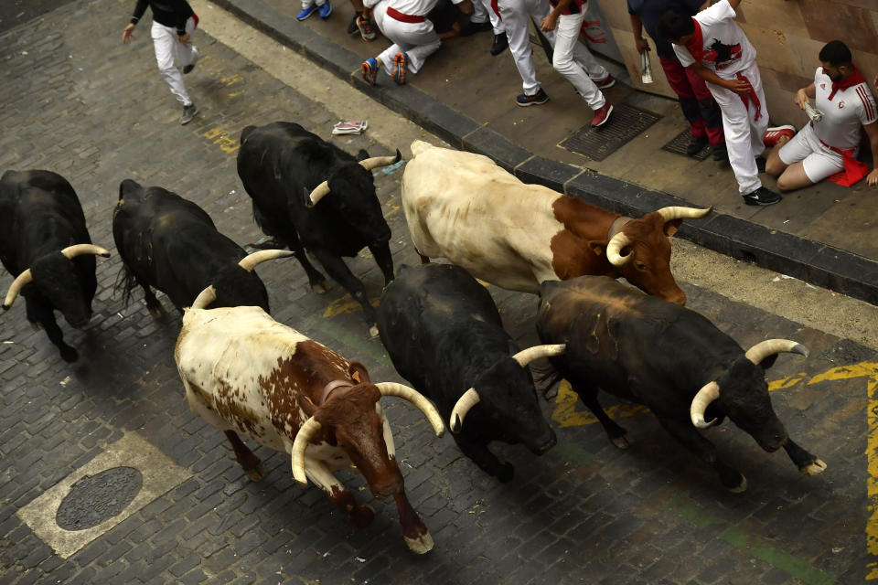 Revellers run next to fighting bulls during the running of the bulls at the San Fermin Festival, in Pamplona, northern Spain, Sunday, July 7, 2019. Revellers from around the world flock to Pamplona every year to take part in the eight days of the running of the bulls. (AP Photo/Alvaro Barrientos)