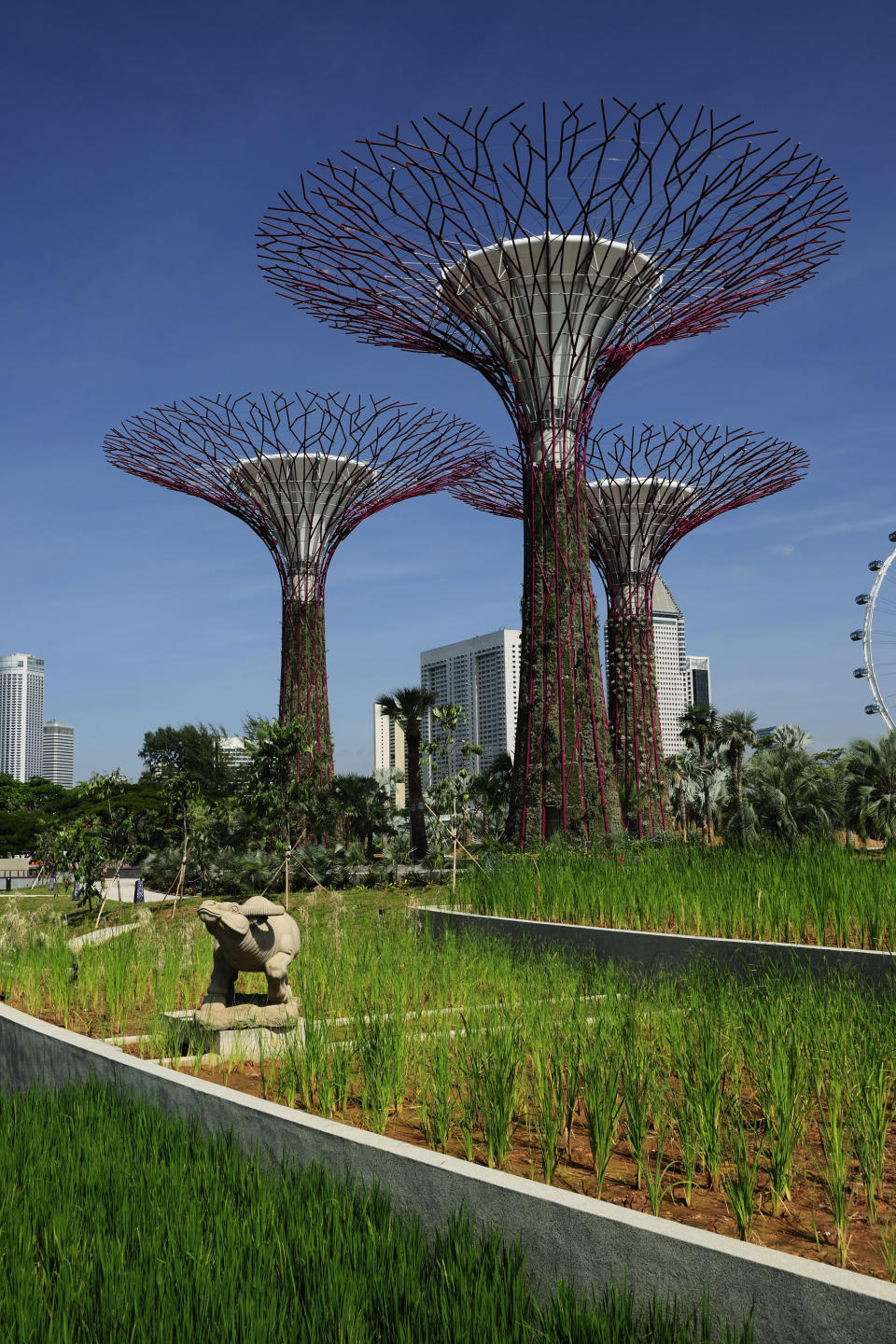 Gardens by the Bay