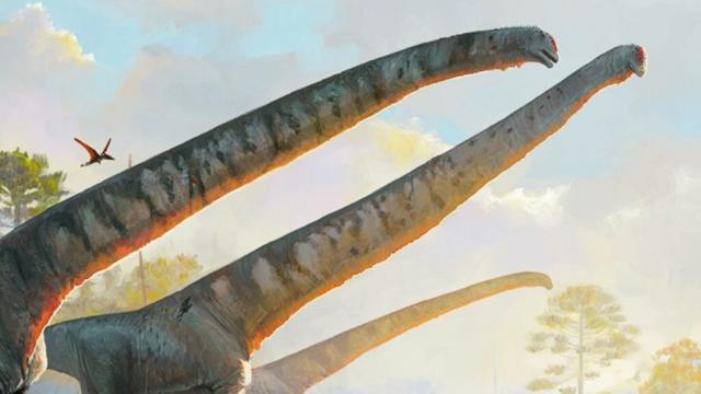 Ce dinosaure a le plus long cou jamais découvert : 6 fois celui d