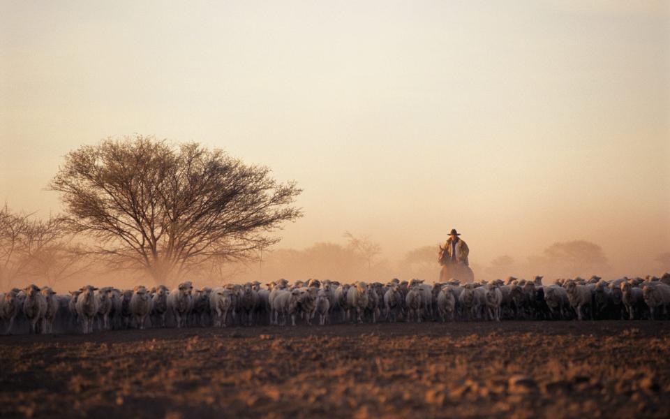 A farm near Winton - Getty