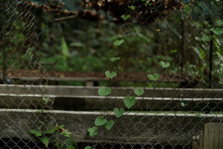 A broken fence is seen in a greenhouse at the botanical garden in Caracas, Venezuela July 9, 2018. Picture taken July 9, 2018. REUTERS/Marco Bello