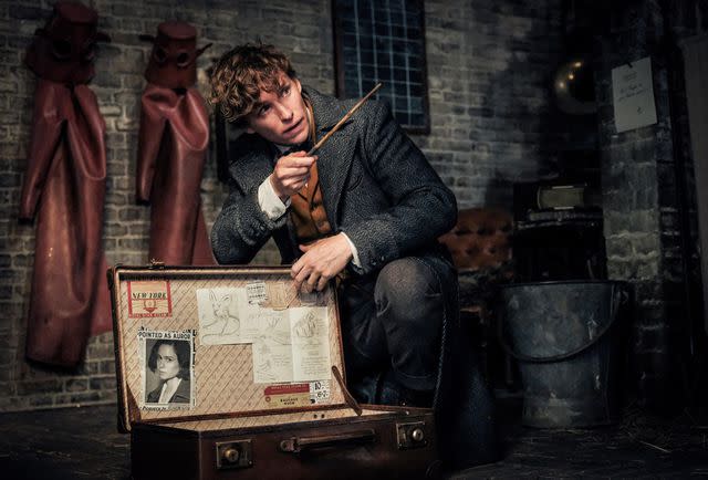 Warner Bros/Moviestore/Shutterstock Eddie Redmayne in 'Fantastic Beasts: The Crimes of Grindelwald,' 2018