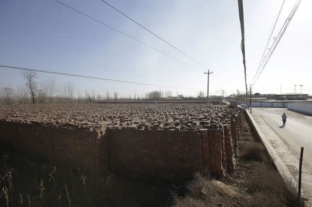 Bricks are stacked in a field at a village with several closed brick factories, in Beijing, China, January, 18, 2016. REUTERS/Jason Lee