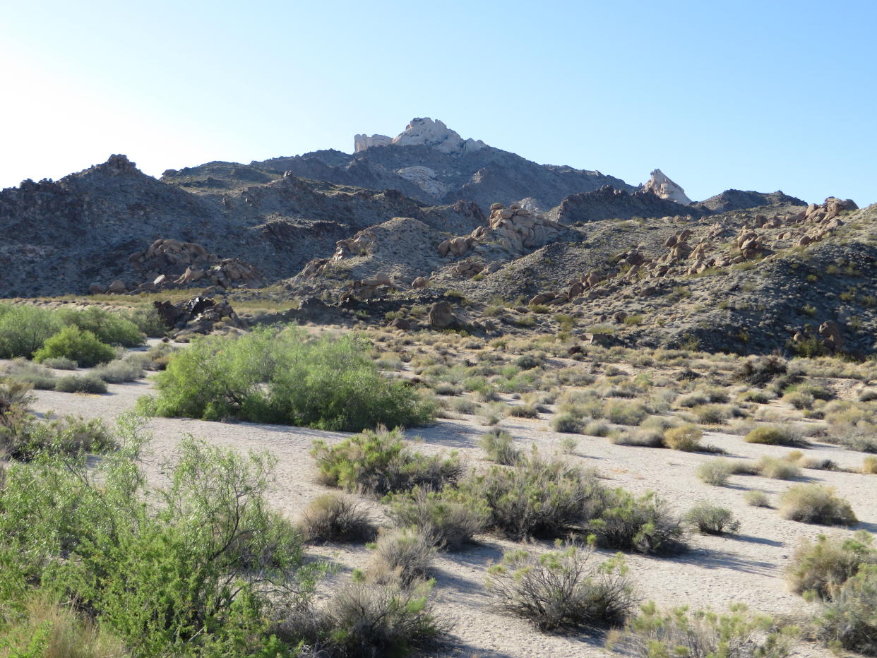 The peaks of the Spirit Mountain Wilderness Area.