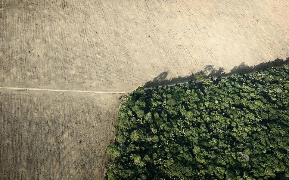 Deforestation is a major contributor to climate change, causing about 20 percent of global greenhouse gas emissions. Brazil is the world's 4th largest contributor to global warming, mainly due to deforestation and land clearing in the Amazon - Gustavo Jononovich