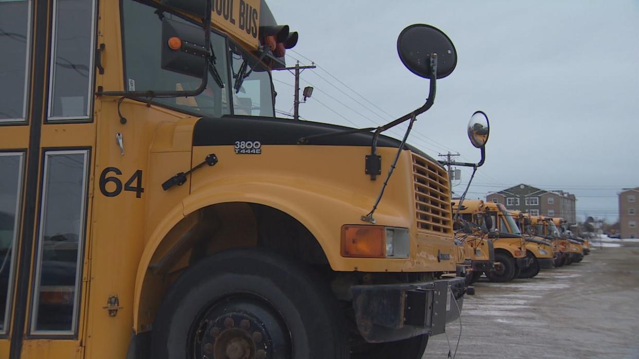 Some schools, mostly in northern New Brunswick, are closed Friday.  (CBC - image credit)