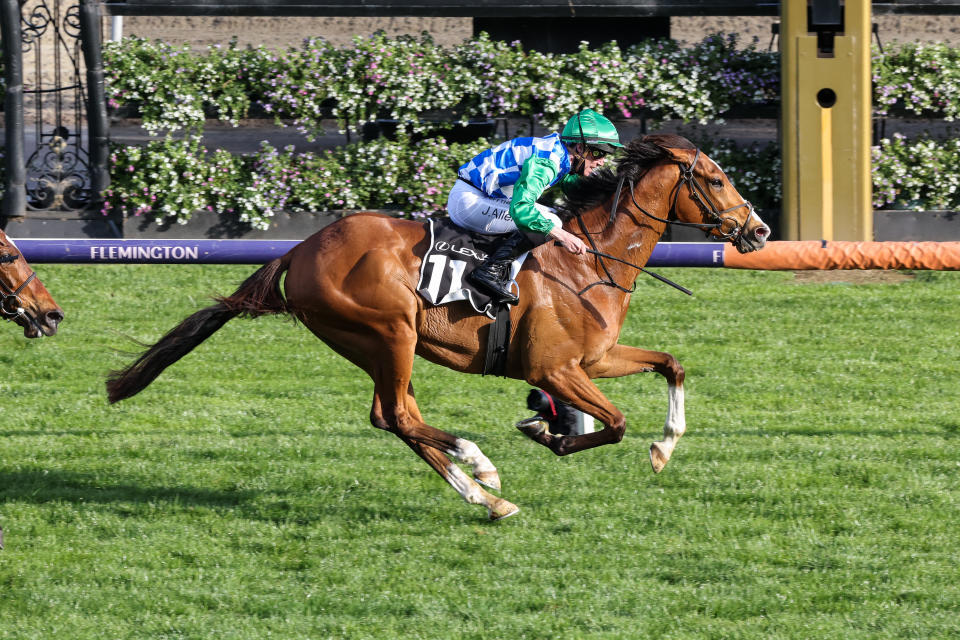 Grand Promenade is seen here winning  The Lexus Bart Cummings at Flemington in 2021.