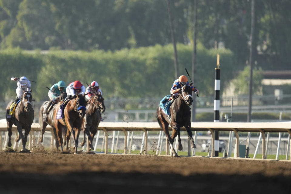 John Velazuez rides Fierceness, right, to win the Breeders' Cup Juvenile horse race Friday, Nov. 3, 2023 at Santa Anita Park in Arcadia, Calif. (AP Photo/Ashley Landis)