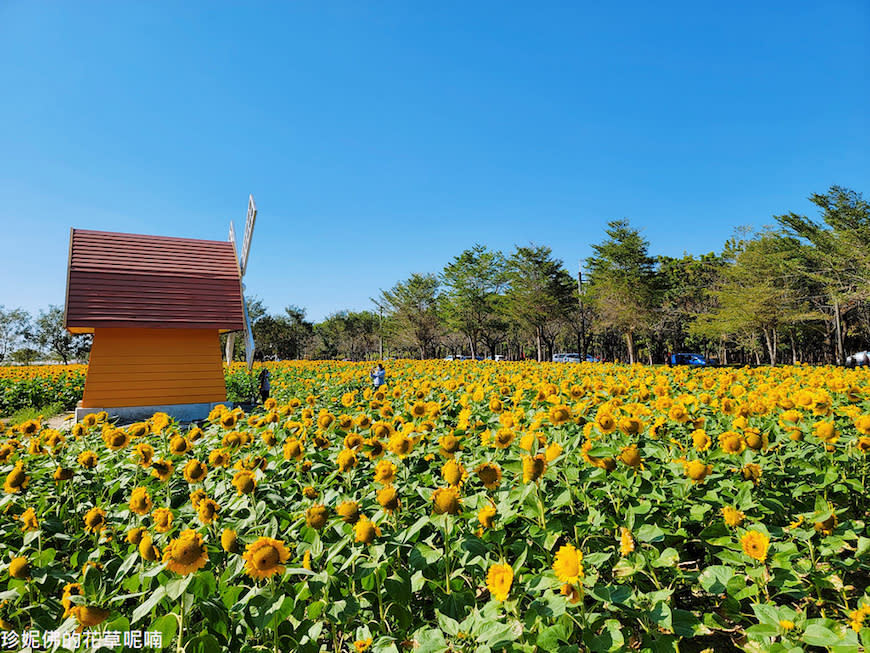 屏東｜新埤鄉綜合休閒公園