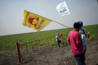 A man plays a ukulele as farmworkers and allies pause for lunch beside a field on the first day of a five-day trek aimed at highlighting the Fair Food Program, which has enlisted food retailers to use their clout with growers to ensure better working conditions and wages for farmworkers, Tuesday, March 14, 2023, in Pahokee, Fla. (AP Photo/Rebecca Blackwell)