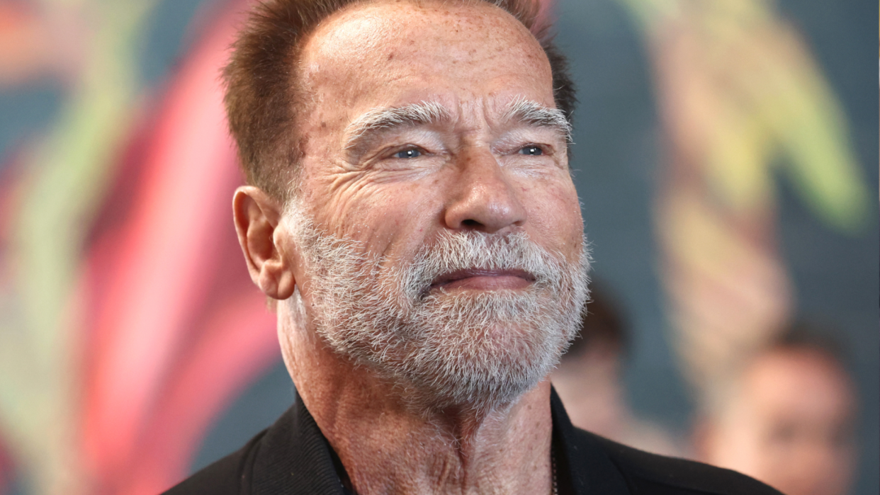 Arnold Schwarzenegger. 