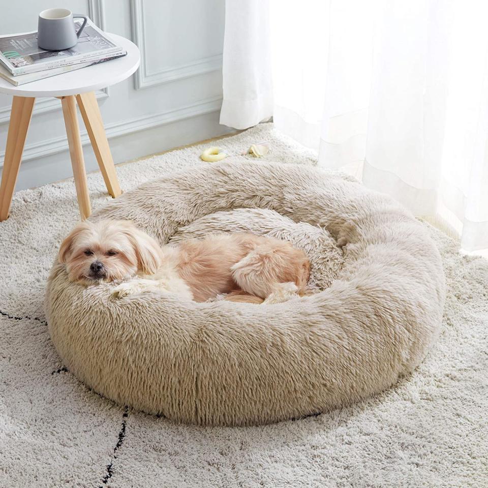 The Anti-Anxiety Donut Dog Cuddler Bed, $47.51