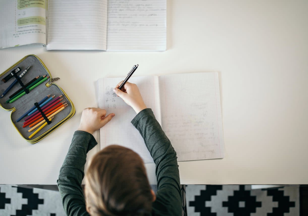 There is, according to the Department for Education, ‘considerable evidence’ that many children are not receiving a suitable education at home (Getty Images/iStockphoto)