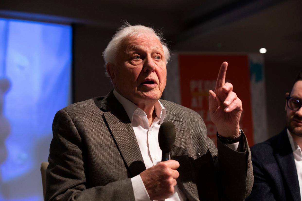 Sir David Attenborough speaking at the first UK-wide citizens assembly: PA