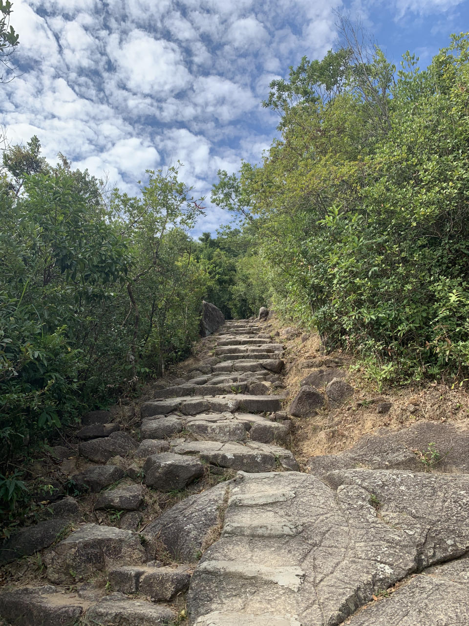 行山路線｜筆架山簡易三小時登山徑！俯瞰九龍半島景色