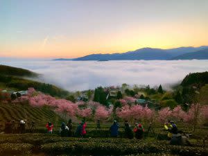 遊客可以在歐式建築住一晚觀賞雲海、日出享受遺世獨立的美景。｜You can stay overnight at the resort to enjoy the breathtaking sea of clouds and sunrise. (Courtesy of Facebook @mvresort.tw)