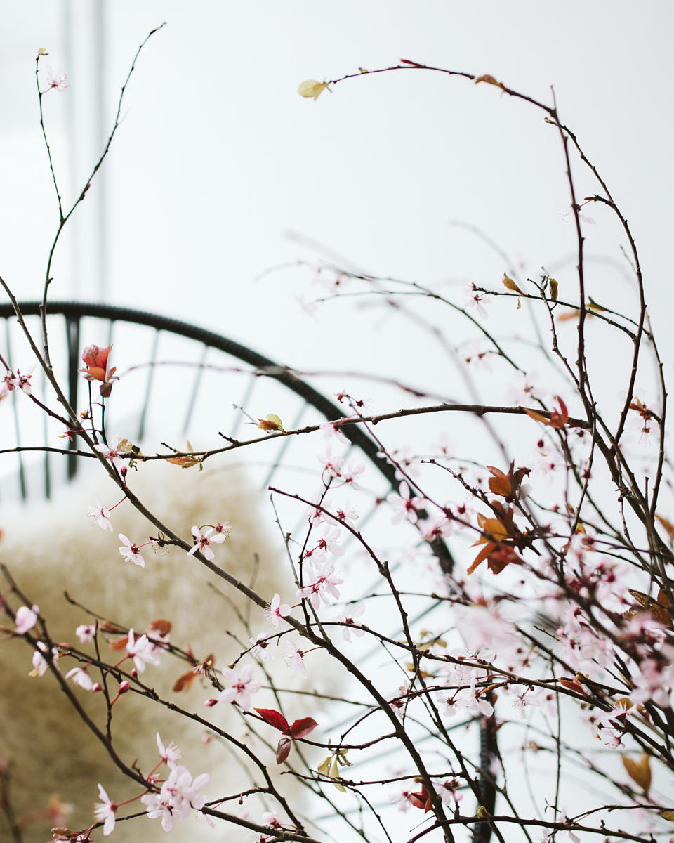 Flowering Branches