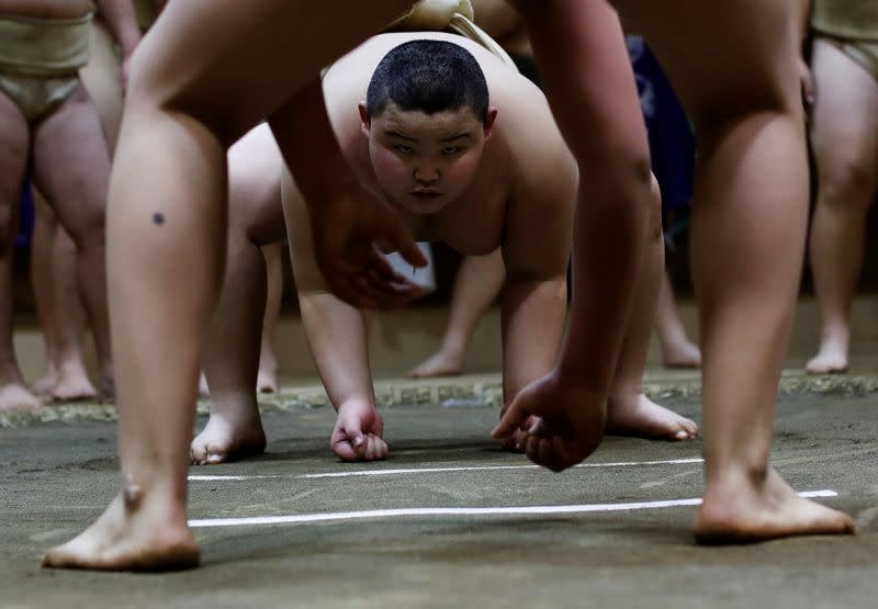The Wider Image: Meet Kyuta: the 10-year-old, 85-kilo sumo in training