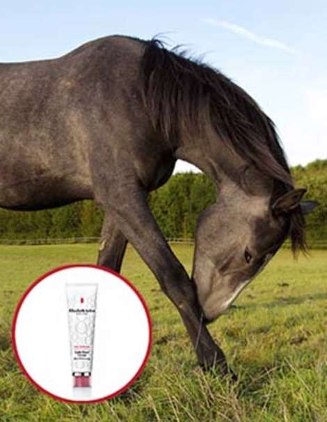 Was your favorite skincare product made for bruised horses?