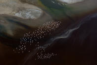 <p>A birds eye view of Flamingos migrating. (Photo: Michael Viljoen/ Caters News) </p>