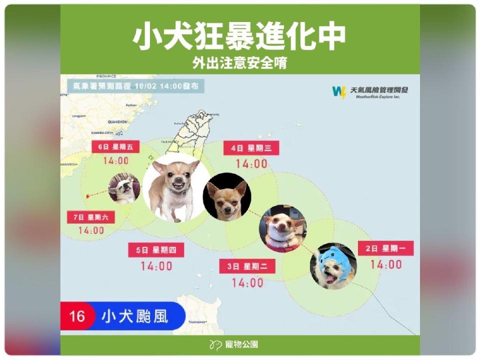 小犬颱風梗圖暴紅，示警今天的小犬笑得讓你心裡發寒，明天的小犬就恐怖了。（圖：寵物公園臉書）