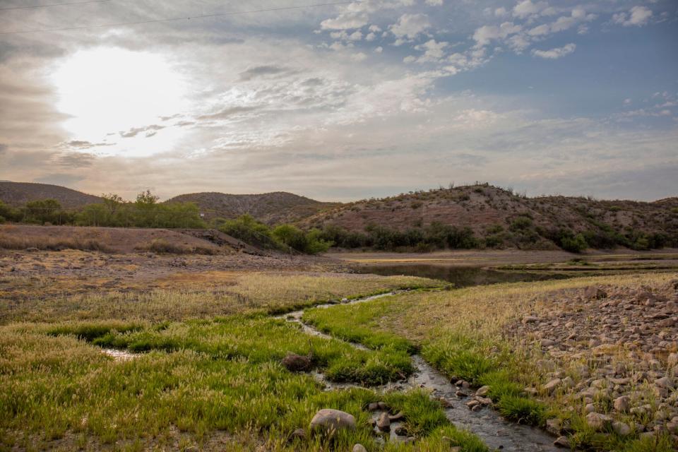 Seepage from Caballo Reservoir fills the river at Percha Dam State Park in New Mexico, allowing for grasslands and a strip of native trees to grow here. Dam construction, flood control and agricultural shifts to the lands upstream from El Paso eliminated the river patterns that allowed cottonwoods and willow bosques to grow downstream.