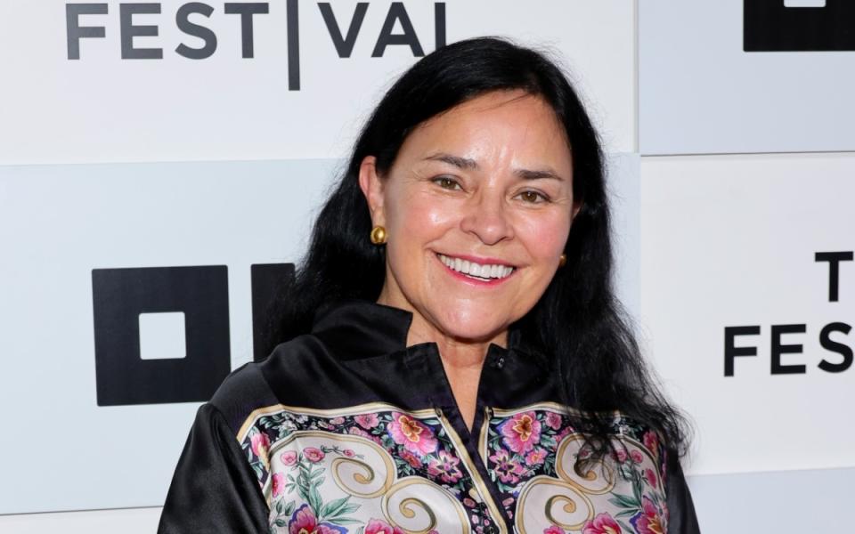 Diana Gabaldon<p>Photo by Theo Wargo/Getty Images for STARZ</p>