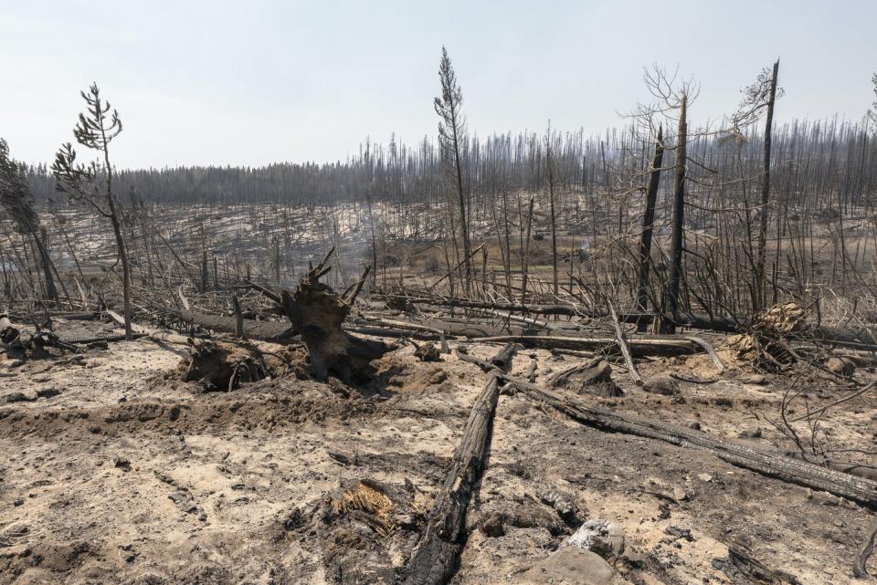 An area destroyed by fire smoulders.