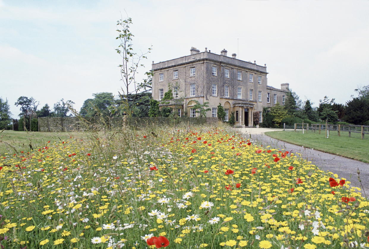TETBURY, UNITED KINGDOM - JULY 14:  A Wild Flower Meadow Planted By Prince Charles At Highgrove, Country Home To The Wales Family  (Photo by Tim Graham Photo Library via Getty Images)