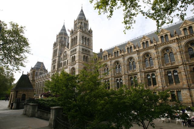 The Natural History Museum in South Kensington, west London (PA)